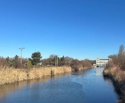 Prodej Zahrady, Zahrady, Nová osada, Komárno, Slovensko