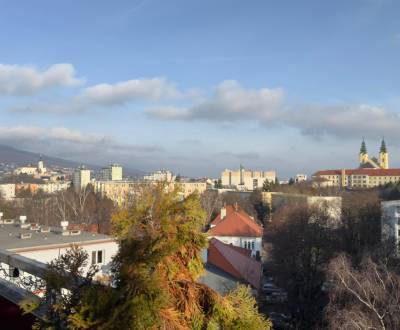 Prodej Byt 1+1, Byt 1+1, Štúrova, Nitra, Slovensko