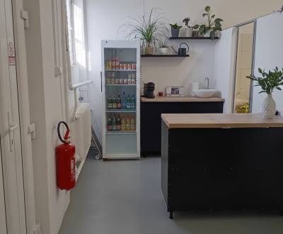 Pronájem Haly a sklady, Haly a sklady, Trstínska cesta, Trnava, Sloven