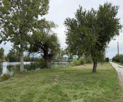 Prodej Zemědělské a lesní, Zemědělské a lesní, Pezinok, Slovensko