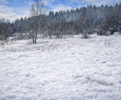 Prodej Pozemky - rekreace, Pozemky - rekreace, Zádedová, Čadca, Sloven