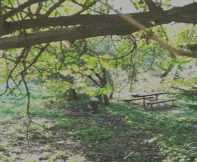 Hledáme Zahrady, Zahrady, Srnková, Banská Bystrica, Slovensko