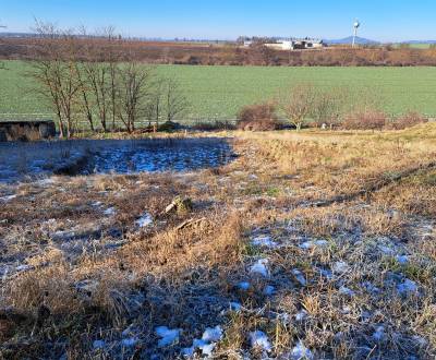 Prodej Pozemky - bydlení, Pozemky - bydlení, Hlavná, Nitra, Slovensko