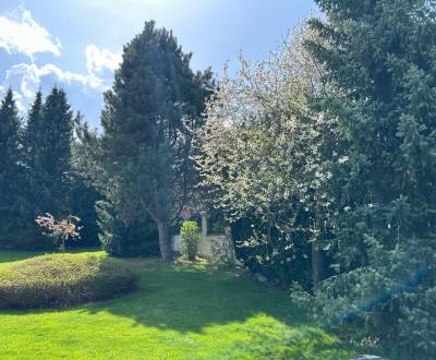 Prodej Pozemky - bydlení, Pozemky - bydlení, Kolónia Hviezda, Martin, 