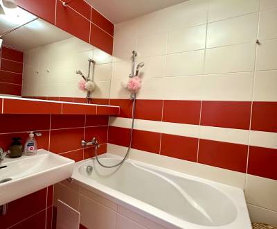 Pronájem Byt 2+1, Byt 2+1, Považská, Košice - Západ, Slovensko