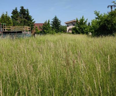 Prodej Pozemky - bydlení, Pozemky - bydlení, Trnavská, Senec, Slovensk