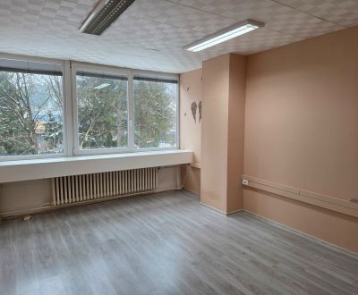 Pronájem Prostory pro obchod, Prostory pro obchod, Centrum , Považská 