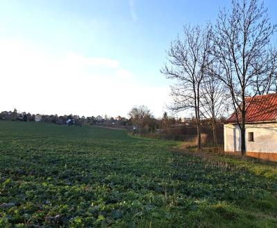 Prodej Pozemky - rekreace, Pozemky - rekreace, Vinice, Nitra, Slovensk