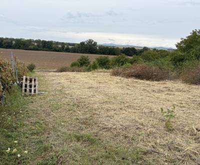 Prodej Zahrady, Zahrady, Zvončín, Trnava, Slovensko