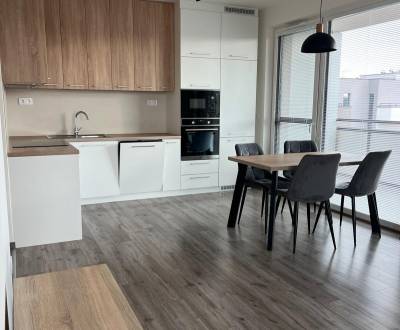 Pronájem Byt 3+1, Byt 3+1, Alvinczyho, Košice - Staré Mesto, Slovensko