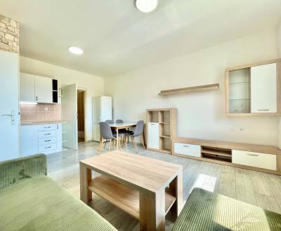 Pronájem Byt 2+1, Byt 2+1, Východná, Trenčín, Slovensko