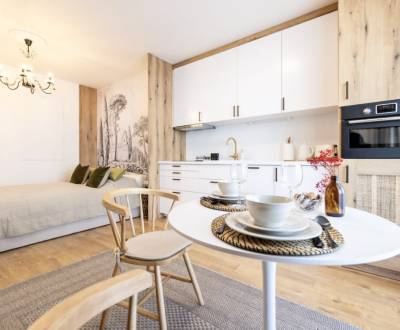 Pronájem Byt 1+1, Byt 1+1, Benadová, Košice - Staré Mesto, Slovensko