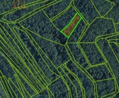 Prodej Zemědělské a lesní, Zemědělské a lesní, Prešov, Slovensko