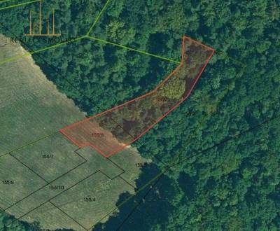 Prodej Pozemky - bydlení, Pozemky - bydlení, Daletice, Prešov, Slovens