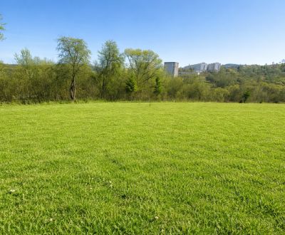 Prodej Pozemky - bydlení, Pozemky - bydlení, Kyzkovci, Čadca, Slovensk