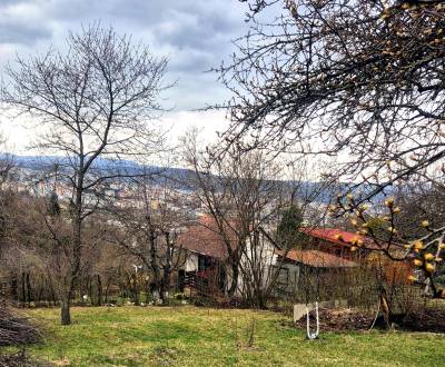 Prodej Zahrady, Zahrady, Nižná Úvrať, Košice - Vyšné Opátske, Slovensk