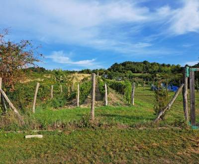 Prodej Pozemky - rekreace, Pozemky - rekreace, Fajgalská cesta, Pezino