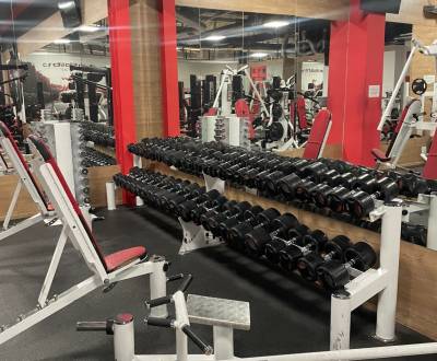 Prodej Prostory pro obchod, Prostory pro obchod, Galantská cesta, Duna