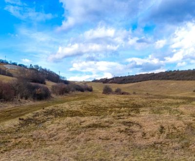 Prodej Pozemky - bydlení, Pozemky - bydlení, Levočská, Prešov, Slovens