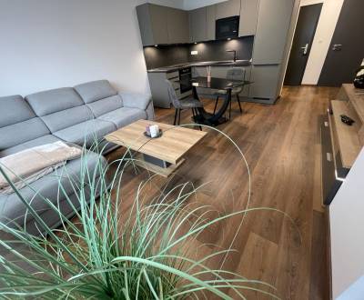 Pronájem Byt 2+1, Byt 2+1, Novomestská, Trnava, Slovensko