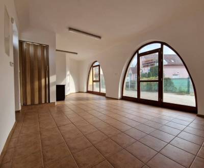 Prodej Prostory pro obchod, Prostory pro obchod, Kukučínova, Dunajská 