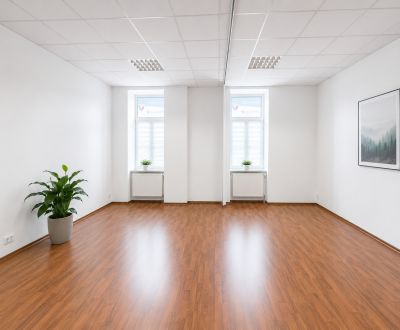 Pronájem Kancelářské prostory, Kancelářské prostory, Moyzesova, Košice
