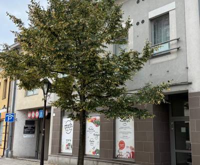 Prodej Byt 1+1, Byt 1+1, Hornopotočná, Trnava, Slovensko