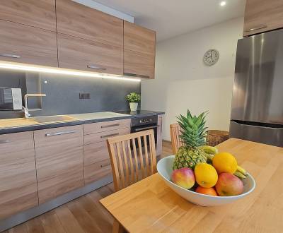 Pronájem Byt 2+1, Byt 2+1, Bazovského 17, Zvolen 960 01, Zvolen, Slove