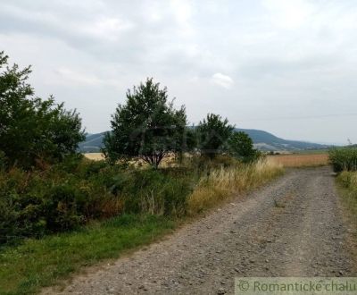 Prodej Zemědělské a lesní, Zemědělské a lesní, Bardejov, Slovensko