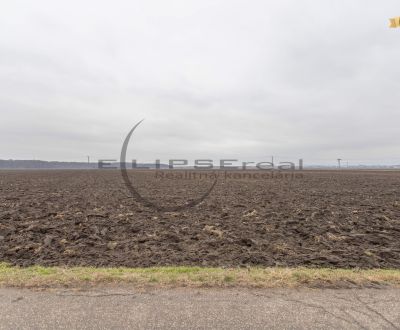 Prodej Zemědělské a lesní, Zemědělské a lesní, Dolná, Malacky, Slovens