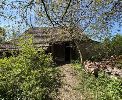 Prodej Pozemky - bydlení, Pozemky - bydlení, Biskupická, Trenčín, Slov