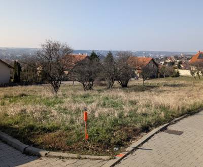 Prodej Pozemky - bydlení, Pozemky - bydlení, Višnová, Nitra, Slovensko