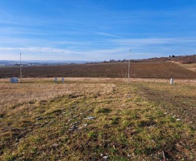 Prodej Pozemky - bydlení, Pozemky - bydlení, Nitra, Slovensko