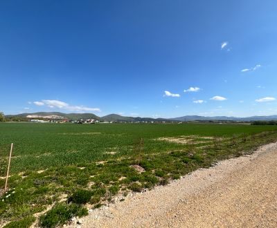 Prodej Zemědělské a lesní, Zemědělské a lesní, Trenčín, Slovensko