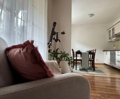 Prodej Rekreační apartmán, Rekreační apartmán, Hrabovská cesta, Ružomb