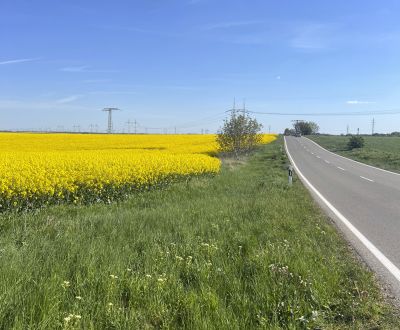Prodej Zemědělské a lesní, Zemědělské a lesní, Trnava, Slovensko