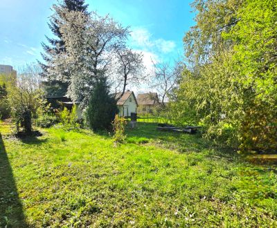 Prodej Zahrady, Zahrady, Ulica 1. mája, Košice - Krásna, Slovensko