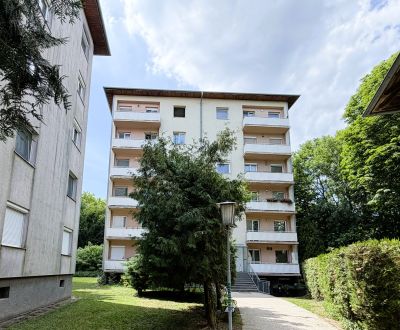 Prodej Byt 2+1, Byt 2+1, Schulstraße, Neusiedl am See, Rakousko