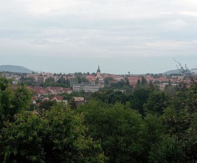 Prodej Zahrady, Zahrady, Kalvária, Prešov, Slovensko