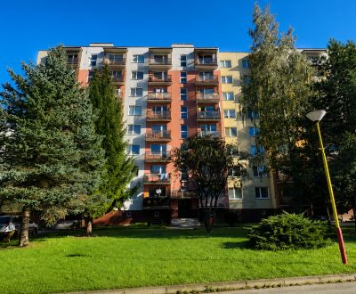 Pronájem Byt 1+1, Byt 1+1, Za dráhou, Ružomberok, Slovensko