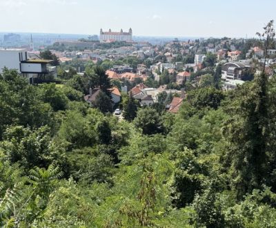 Prodej Pozemky - bydlení, Pozemky - bydlení, Palisády, Bratislava - St