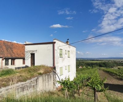 Prodej Vinice, Vinice, Veľký Krtíš, Slovensko