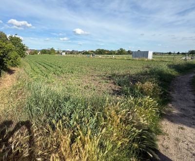 Prodej Pozemky - bydlení, Pozemky - bydlení, Dudvážska, Piešťany, Slov