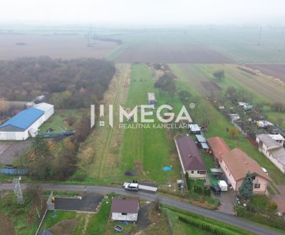 Prodej Zemědělské a lesní, Zemědělské a lesní, Pusté Čemerné, Michalov