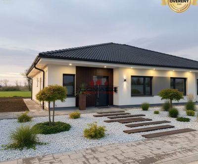 Prodej Rodinný dům, Rodinný dům, Ducovská, Piešťany, Slovensko