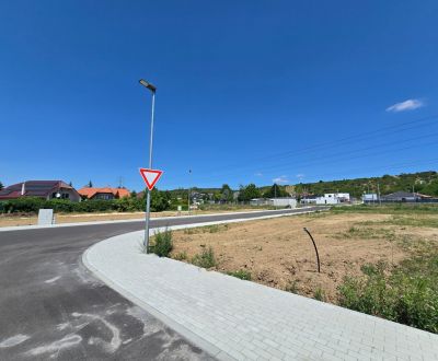 Prodej Pozemky - bydlení, Pozemky - bydlení, Pánska niva, Hlohovec, Sl