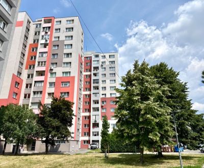 Prodej Byt 3+1, Byt 3+1, Andrusovova, Bratislava - Petržalka, Slovensk