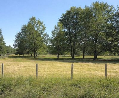Prodej Pozemky - rekreace, Pozemky - rekreace, Malý háj, Malacky, Slov