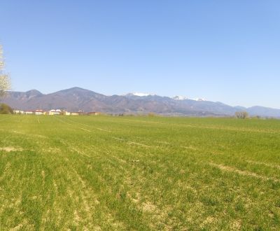 Prodej Pozemky - bydlení, Pozemky - bydlení, Martin, Slovensko