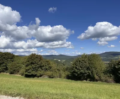 Prodej Zemědělské a lesní, Bardejov, Slovensko